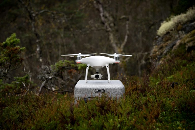 A white drone sits on a gray case amidst dense greenery in a forest setting, surrounded by moss and trees, conveying exploration and technology.